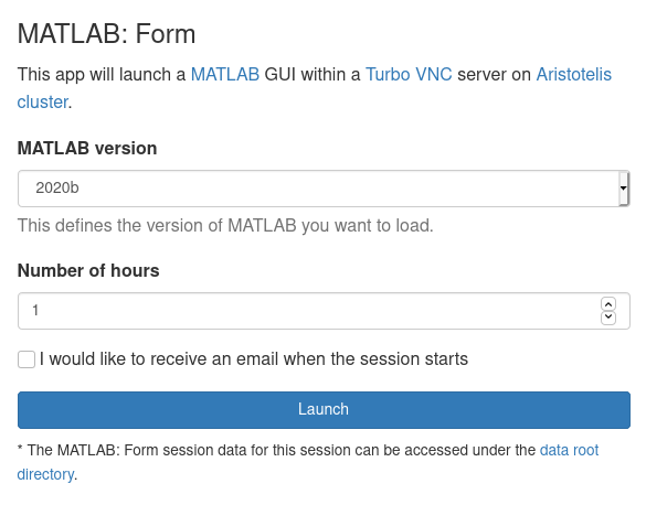 MATLAB Form